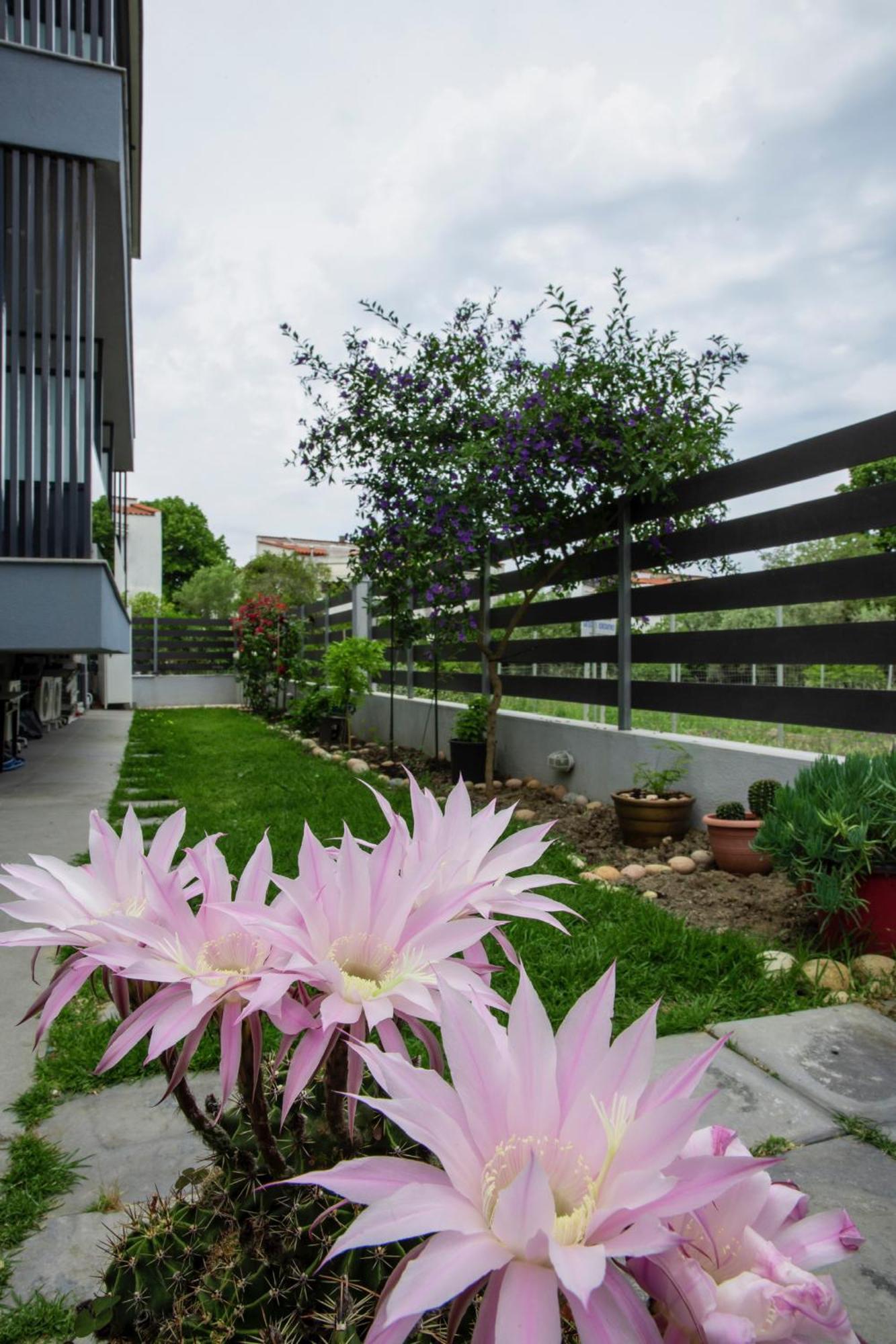 Artemida Suites Chaniotis Exterior foto